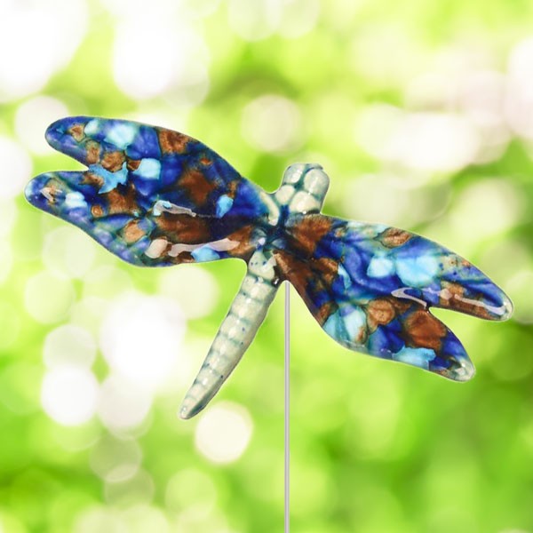 Multi Colored DragonFly