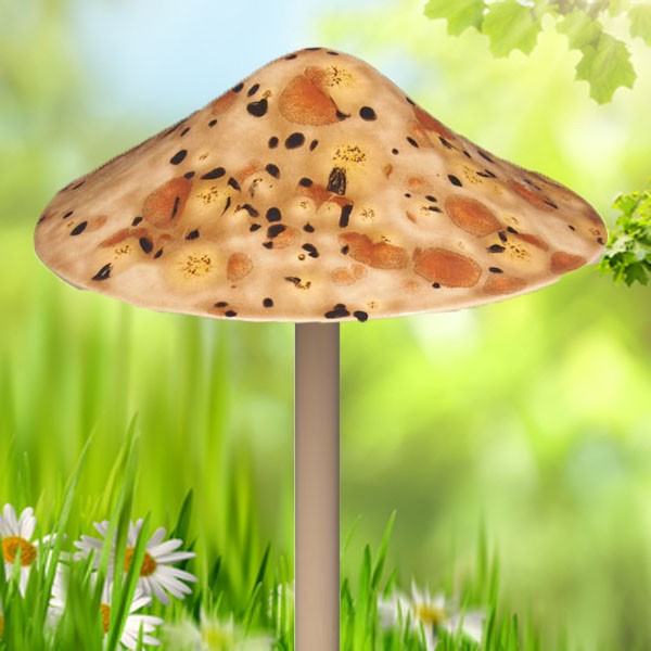 Safari Mushroom - Large