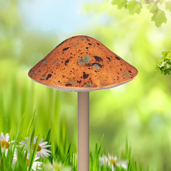 Brown Mushroom - Small