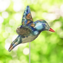 Multi Colored Hummingbird