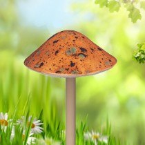 Brown Mushroom - Small